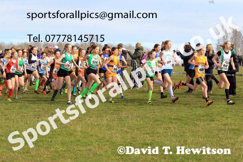 Girls Under-13s 2023 UK CAU Inter Counties Cross Country Champs, Prestwold Hall, Loughborough. Photo: David T. Hewitson/Sports for All Pics
